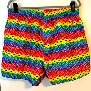 Pride Evolve by 2(X)IST 4" Woven Swim Shorts